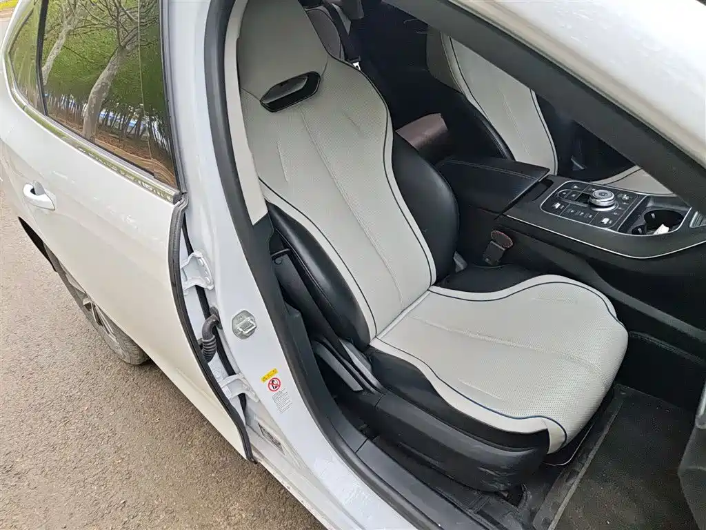 BYD Destroyer 05 2024 Glory Edition DM-i 55KM Luxury фото 20