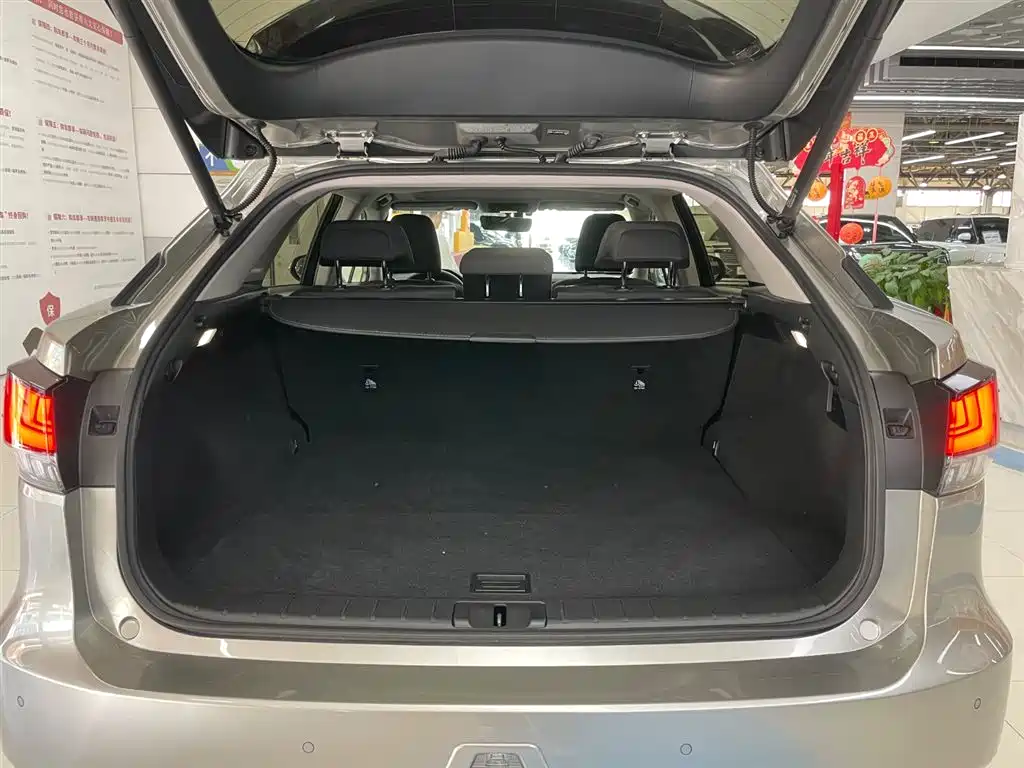 Lexus RX 2020 Facelift 300 2WD Elite Edition фото 29