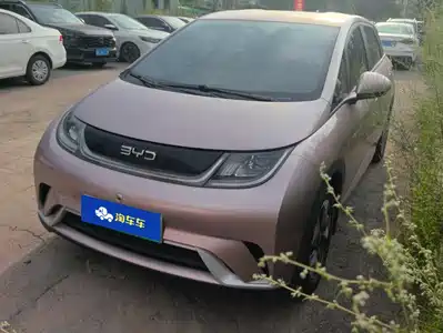 BYD Dolphin