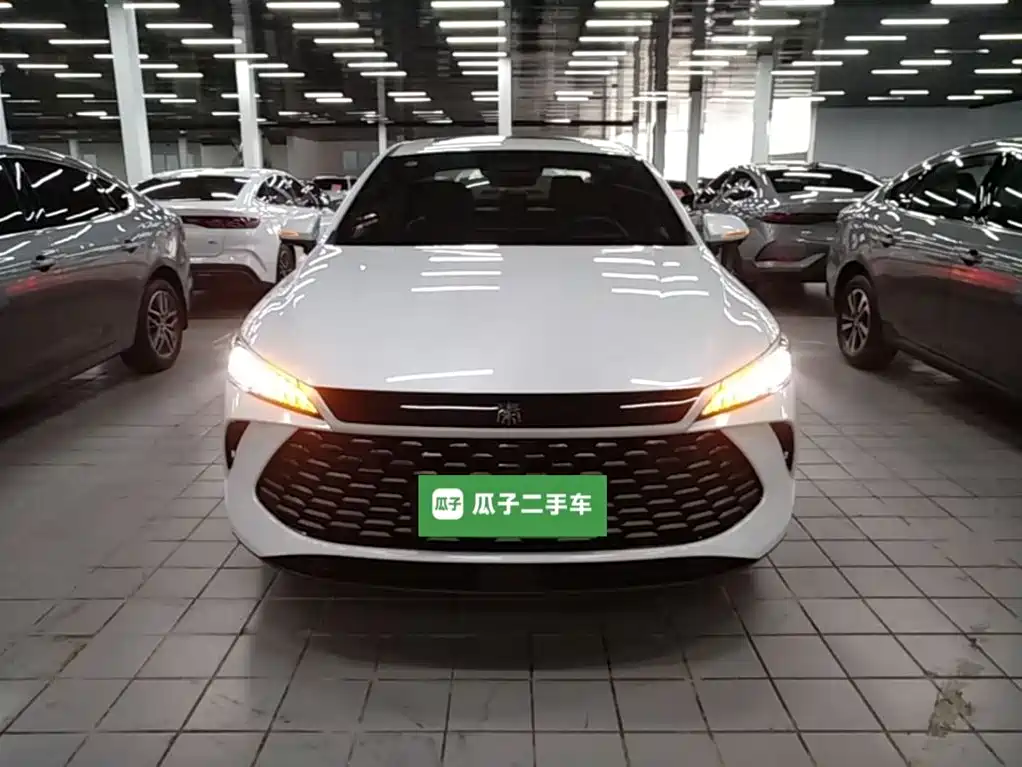 BYD Qin PLUS 2025 DM-i Smart Drive Edition 120KM Surpassing Type фото 3