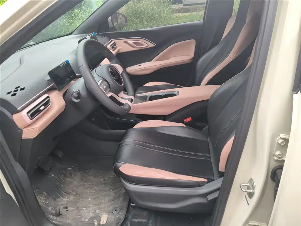 BYD Seagull 2025 305km Vitality фото 15