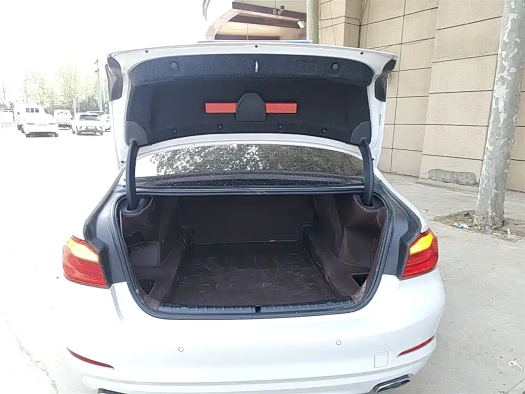 BMW 5 Series 2018 528Li Launch Special Edition фото 15