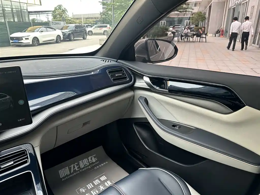 BYD Qin PLUS 2021 DM-i 55KM Flagship фото 10