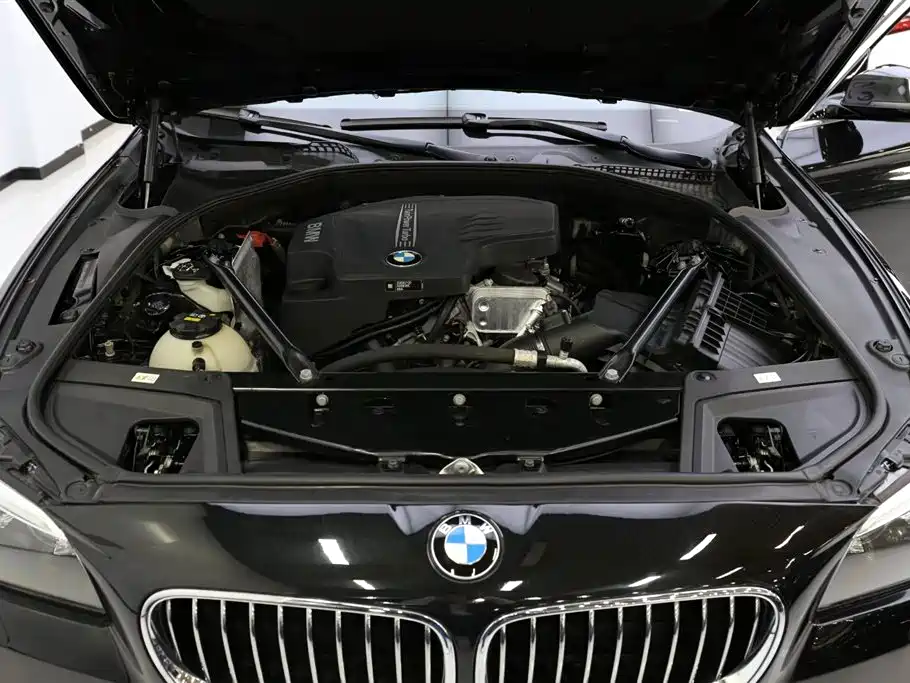 BMW 5 Series 2017 525Li Luxury Design Package фото 23
