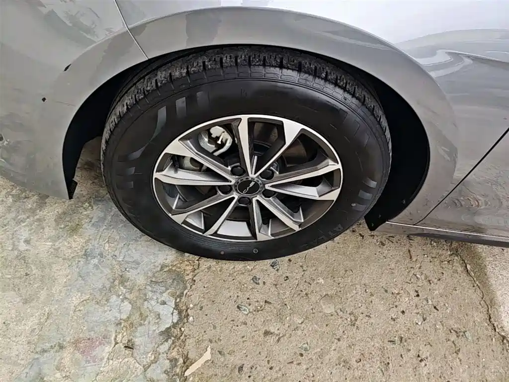 BYD Destroyer 05 2023 Champion Edition DM-i 55KM Luxury фото 23