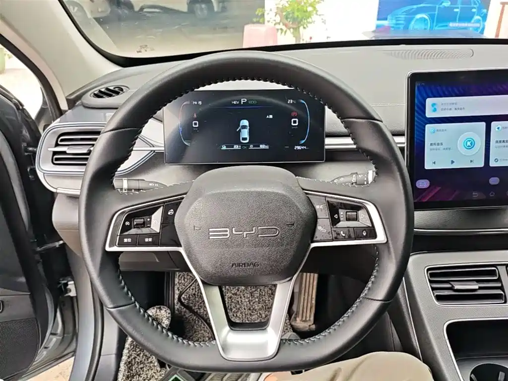 BYD Destroyer 05 2023 Champion Edition DM-i 55KM Luxury фото 11