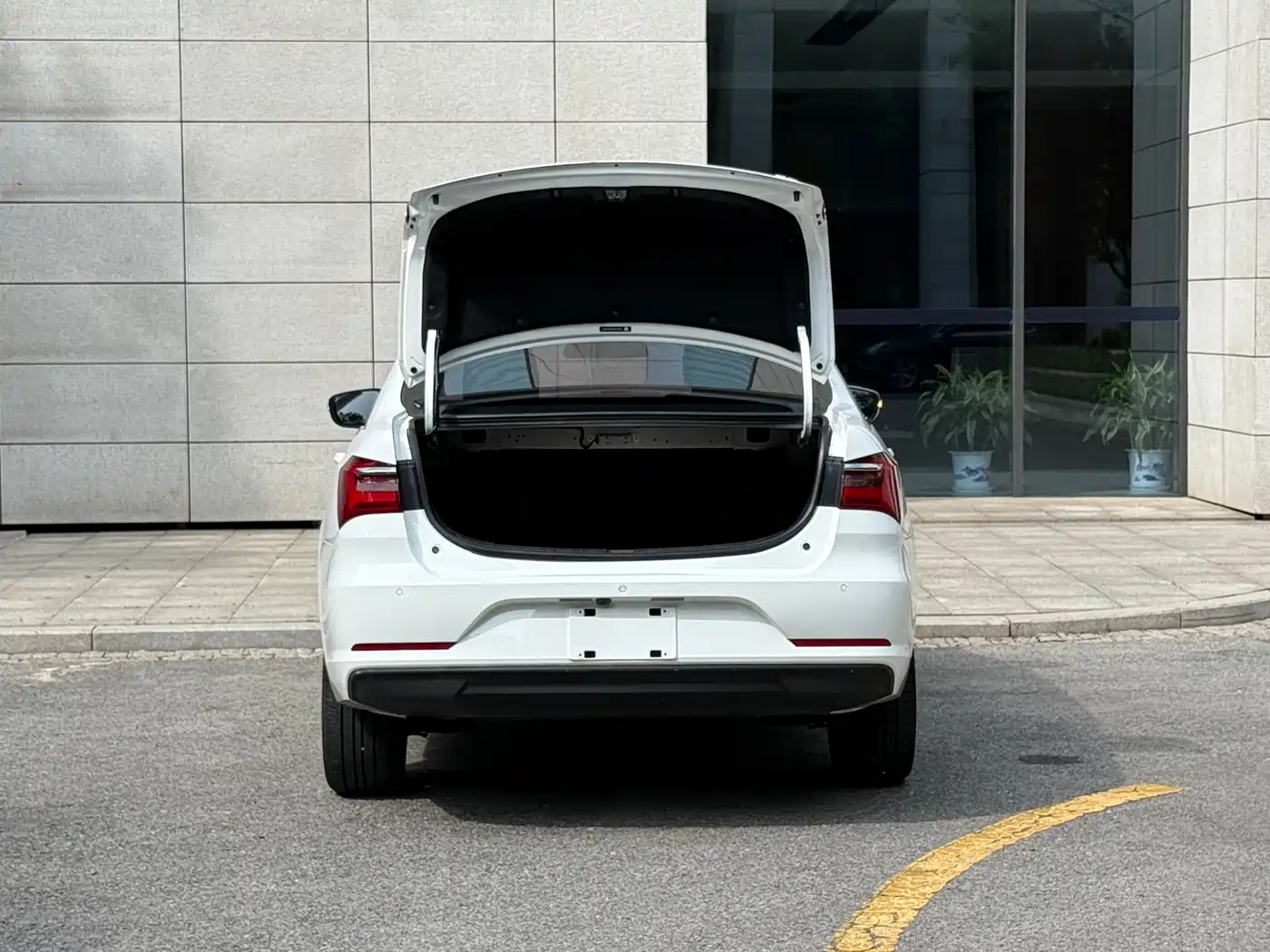 BYD Qin New Energy 2019 Long Range Edition Premium фото 16