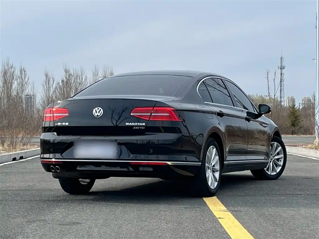 Volkswagen Magotan 2018 330TSI DSG Leading фото 10