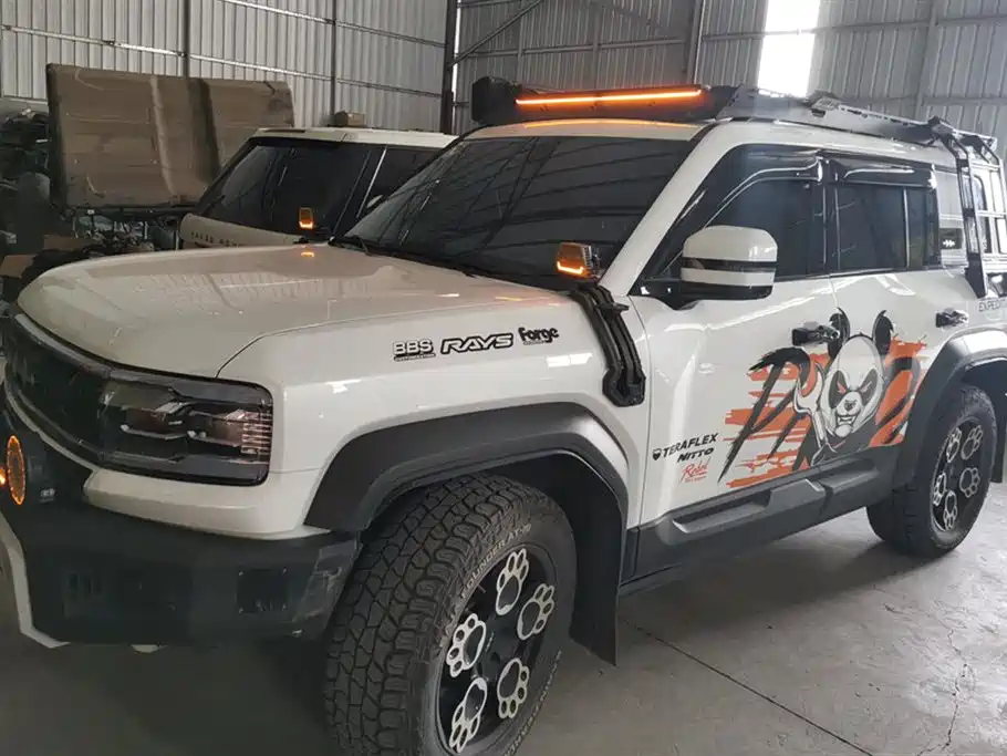 FANG CHENG BAO LEOPARD 5