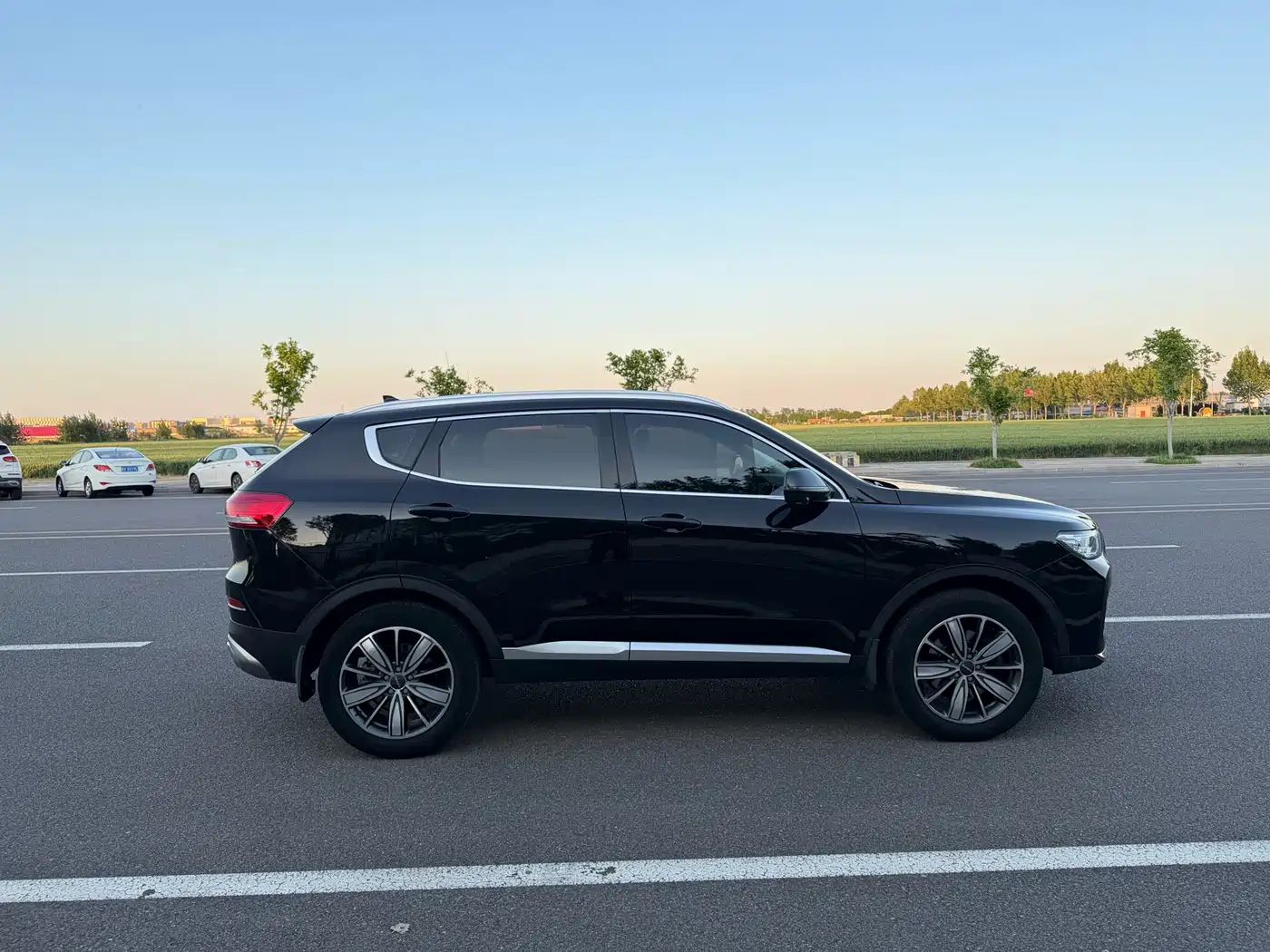 Haval H6 2021 1.5GDIT Automatic Champion Edition фото 4