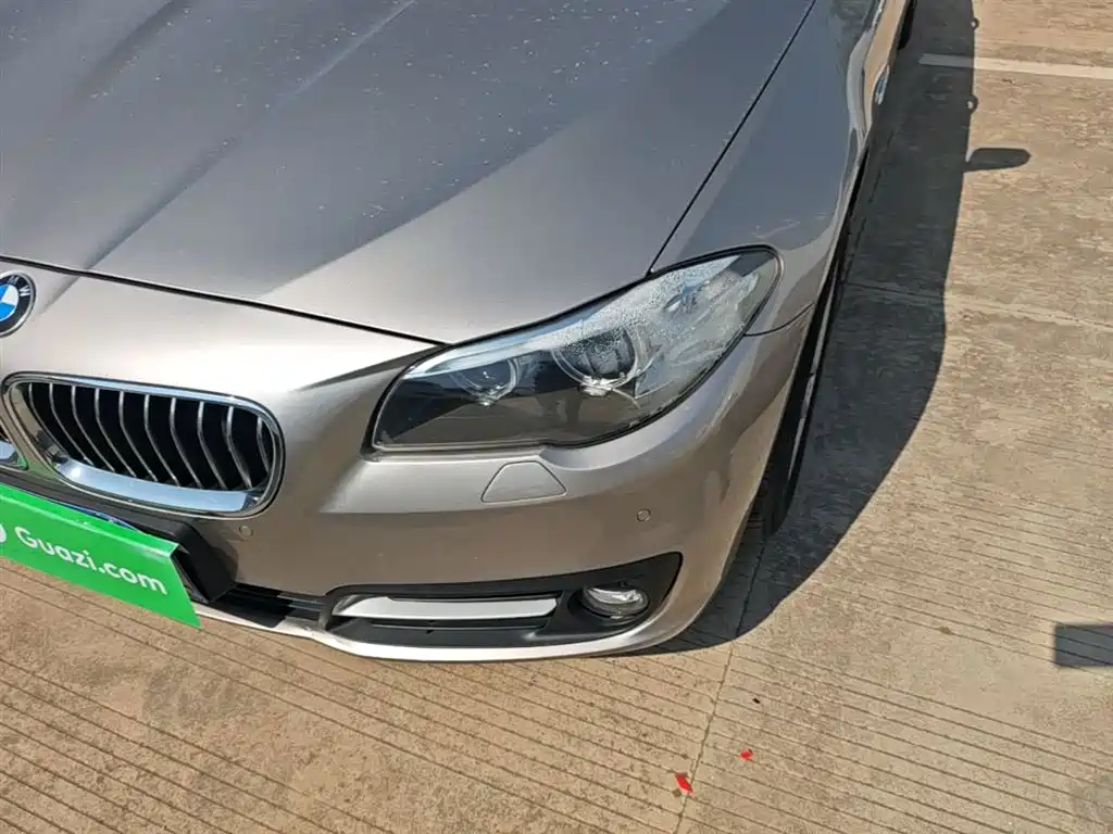 BMW 5 Series 2014 520Li Elegance фото 24
