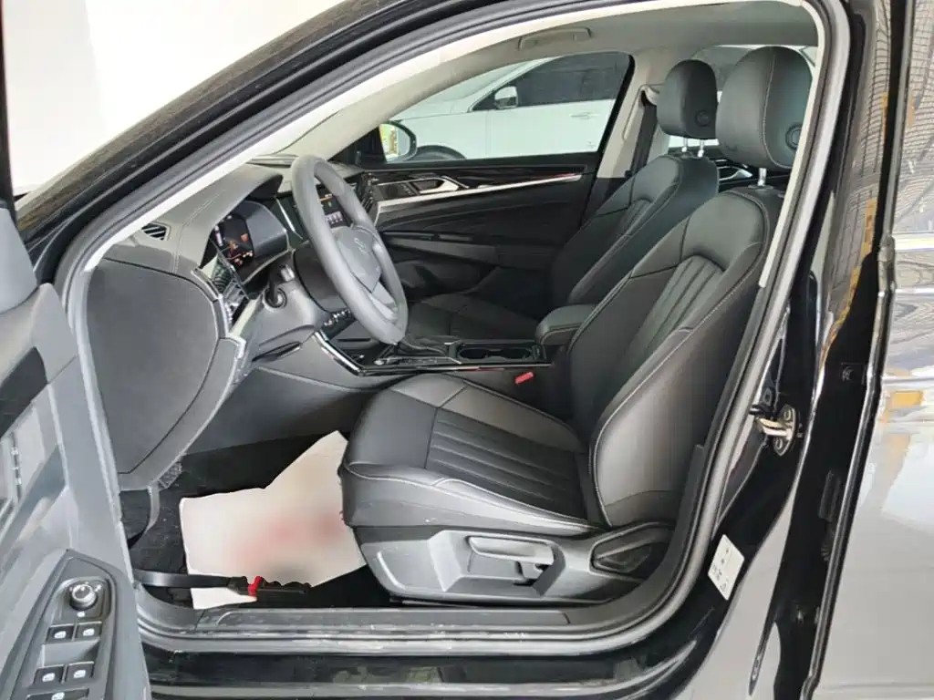 صورة 15 - Volkswagen Passat
