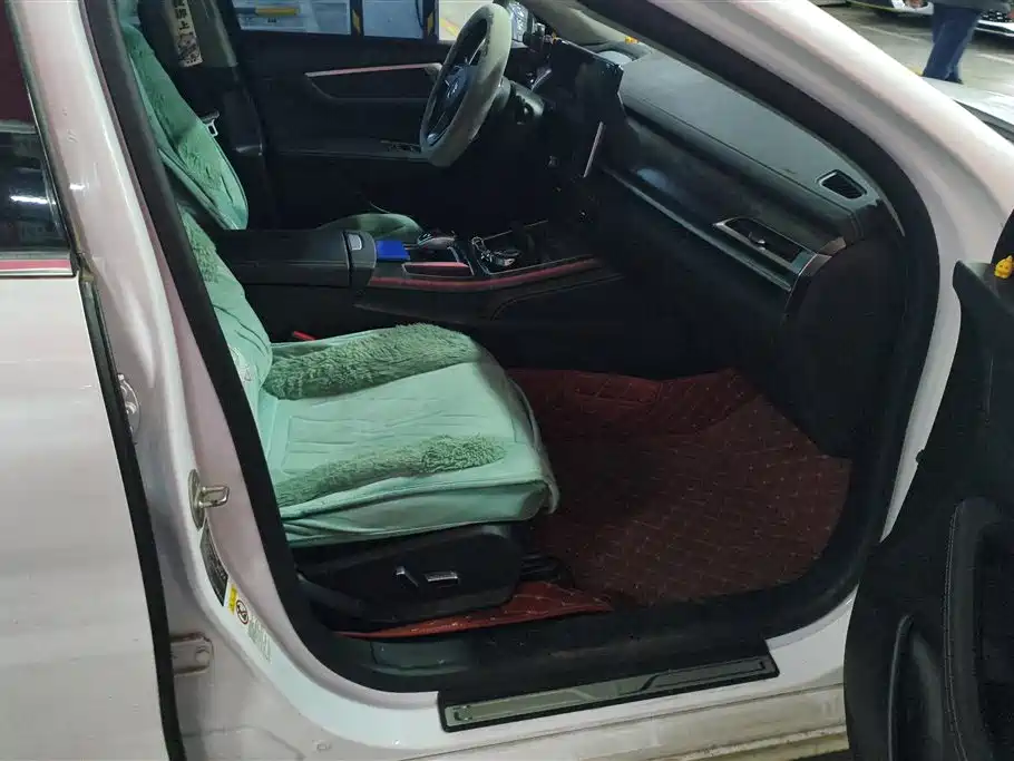 BYD Qin Pro New Energy 2018 DM 1.5TI Auto Smart Connect Premium фото 8