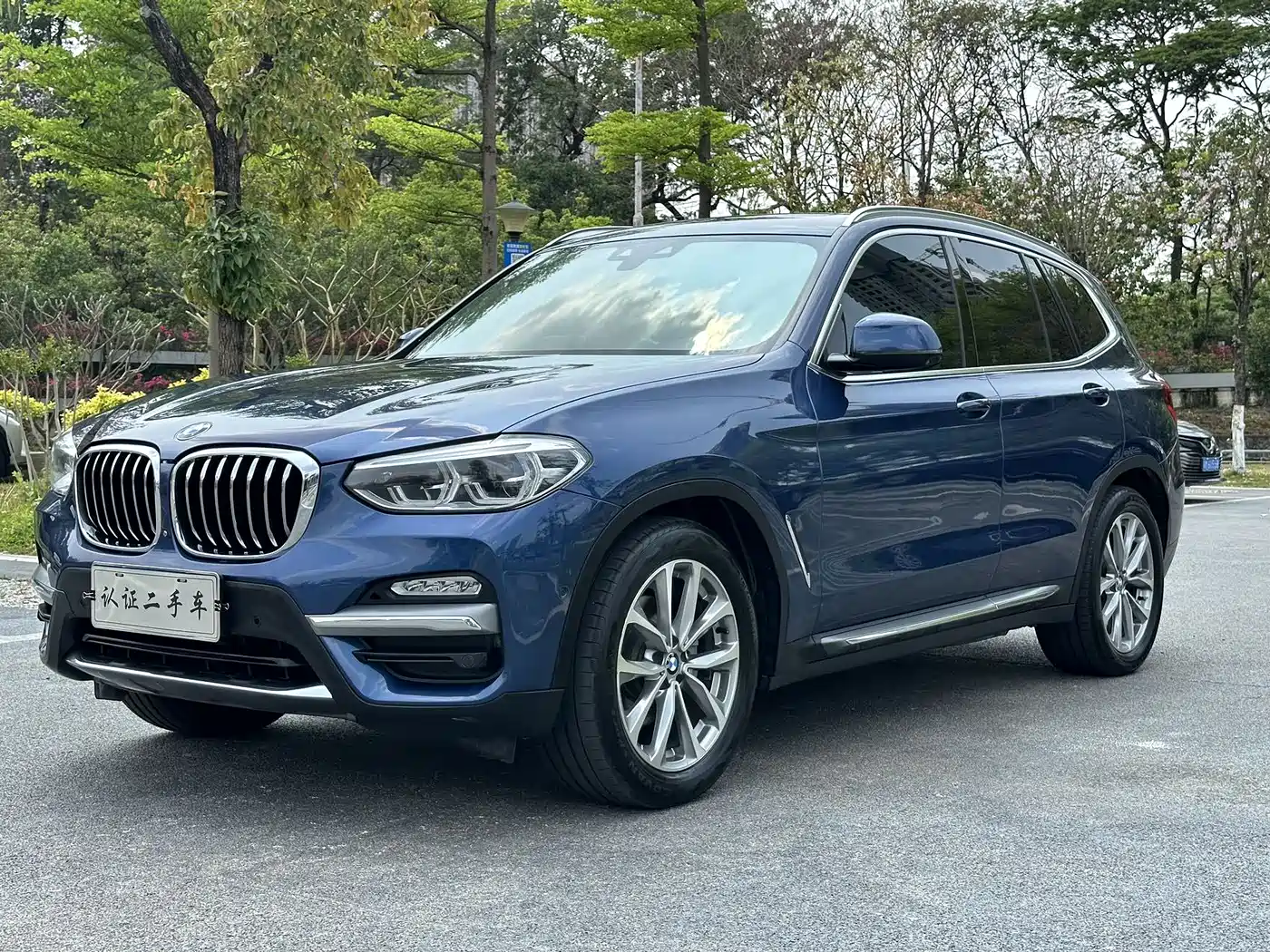 BMW X3 2018 xDrive25i Luxury Package China V