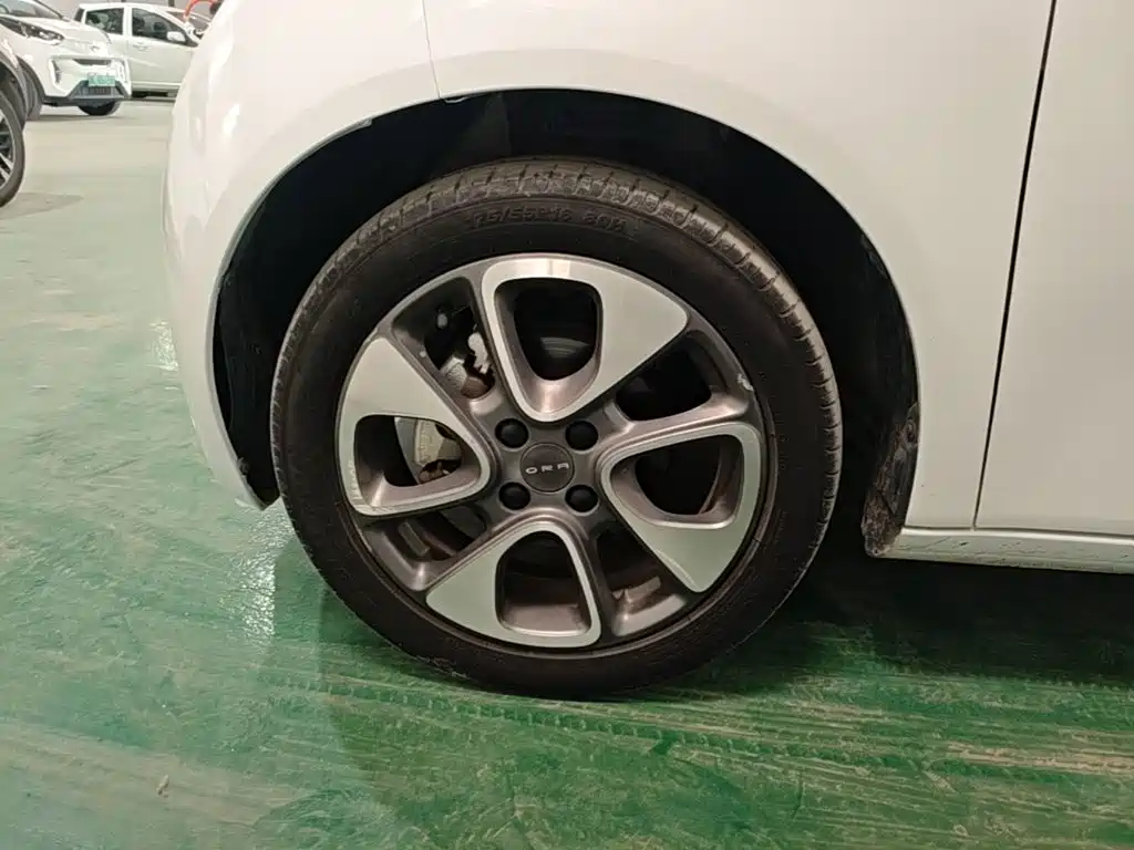 Ora White Cat 2021 2020 305km Luxury