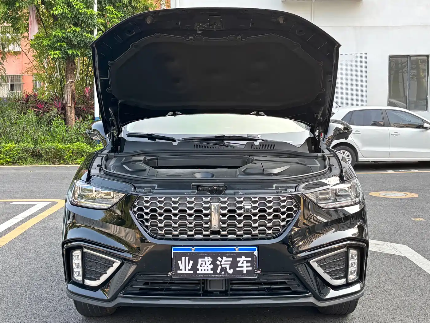 WEI PAI WEI BRAND VV5