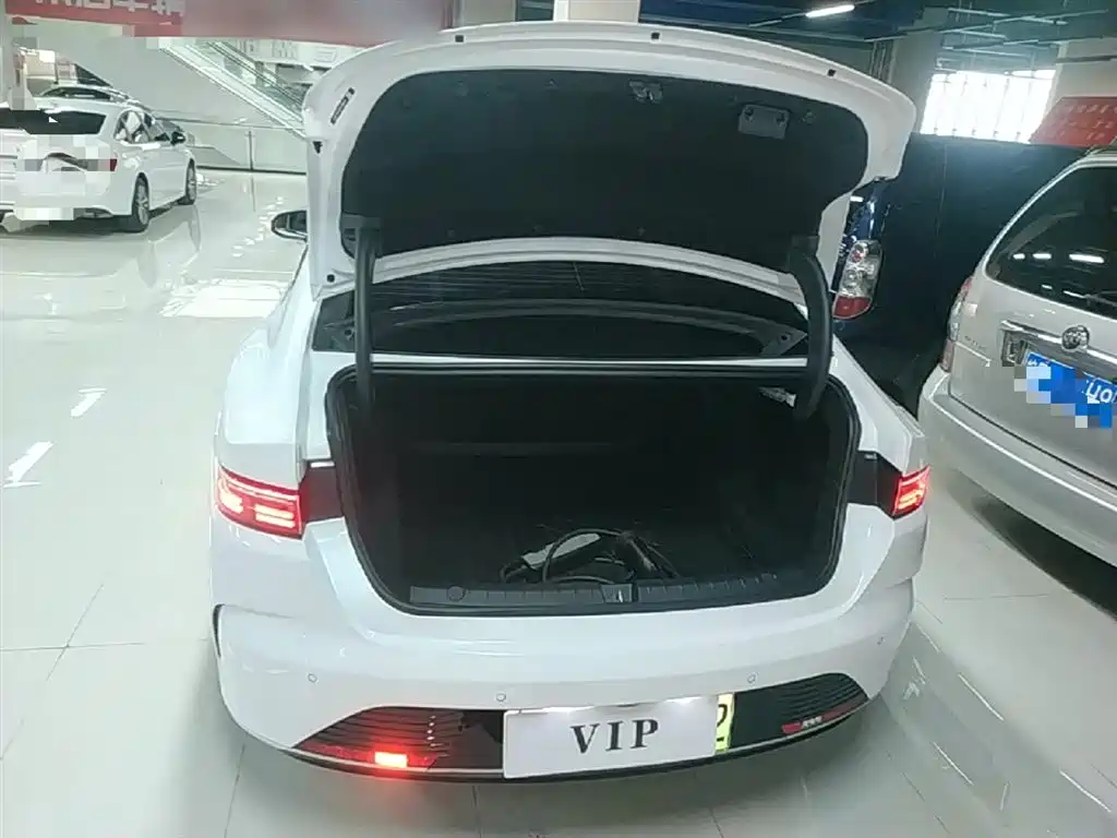BYD Destroyer 05 2024 Glory Edition DM-i 55KM Luxury фото 19