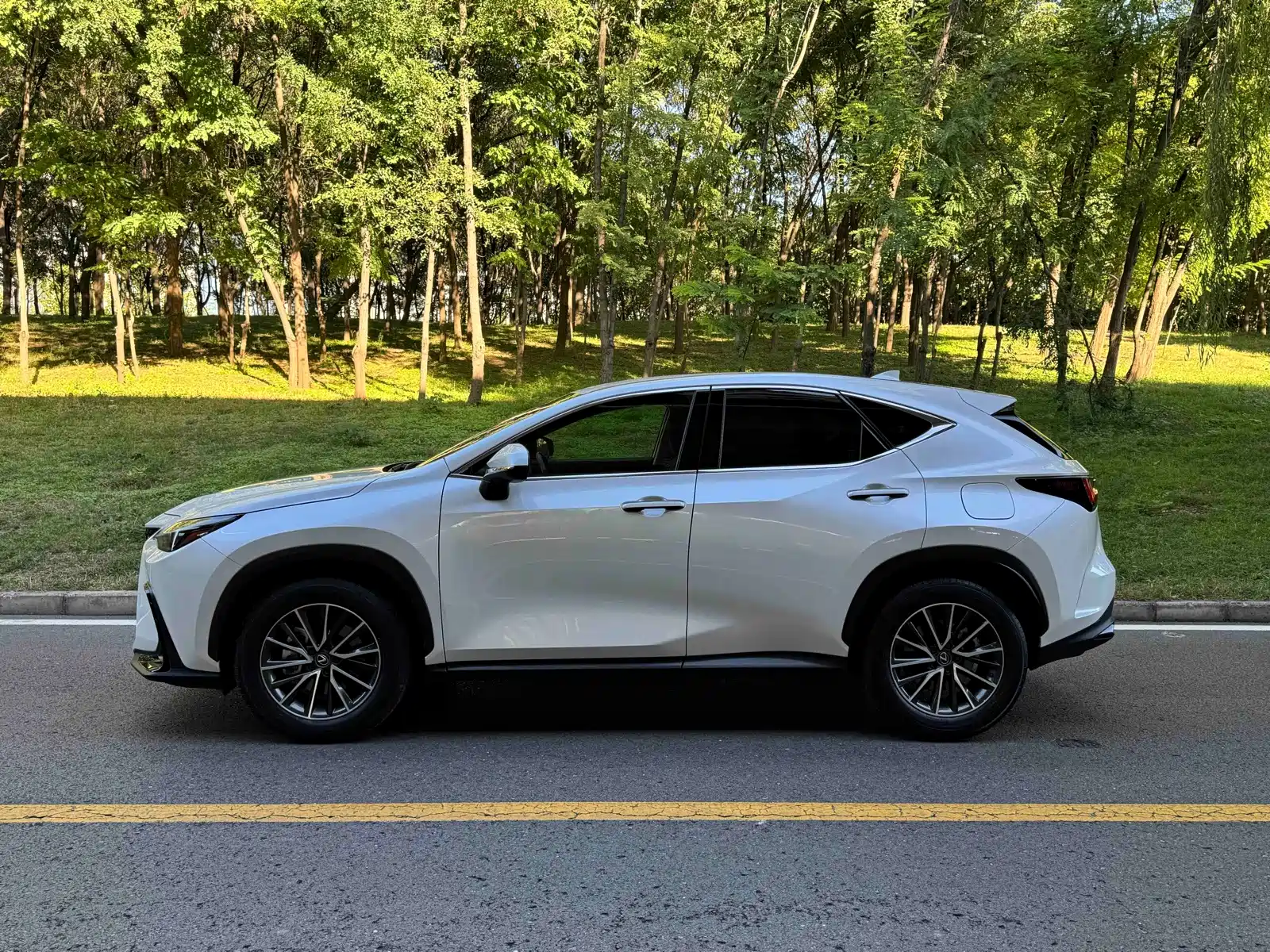 Фото 3 - Lexus NX