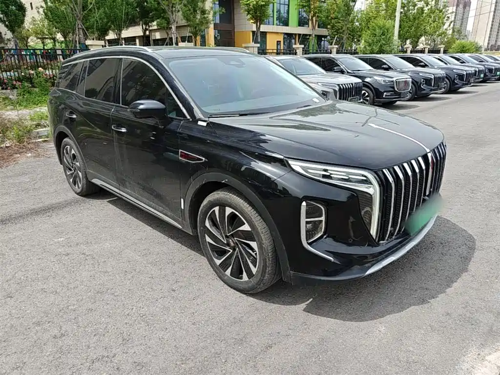 Hongqi HS7 PHEV 2024 2.0T PHEV AWD Qichang Edition 7-seater фото 4