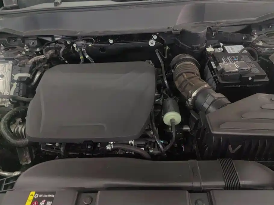 Haval Big Dog 2024 1.5T DCT Border Collie Edition фото 10