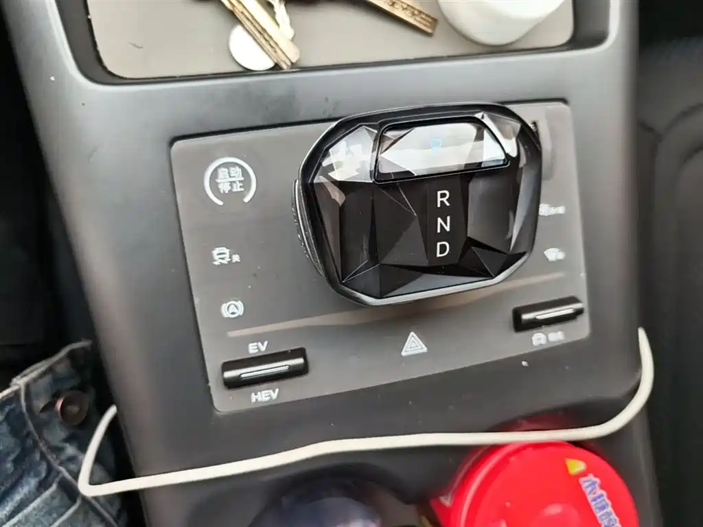 BYD Qin PLUS 2025 DM-i Smart Drive 55KM Leader фото 14