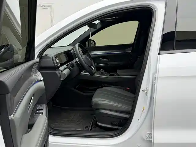 BYD Song Pro New Energy 2025 2nd Generation Smart Drive Edition DM-i 115KM Surpassing Type фото 12