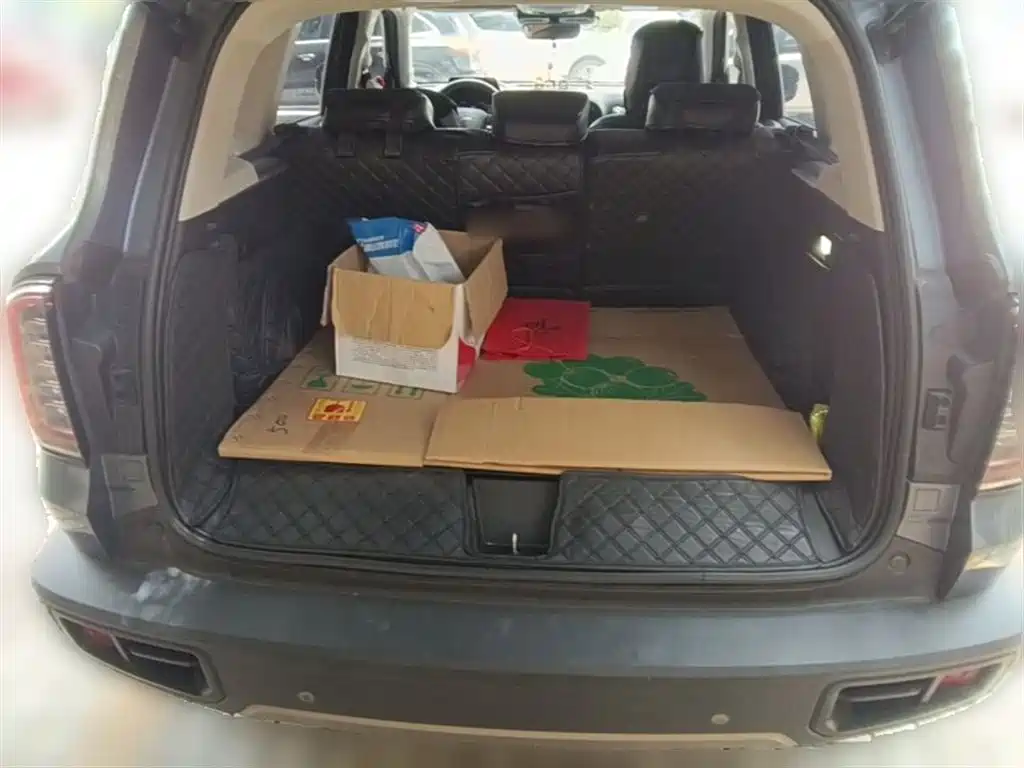 Haval Big Dog 2021 1.5T DCT 2WD Husky Edition фото 10