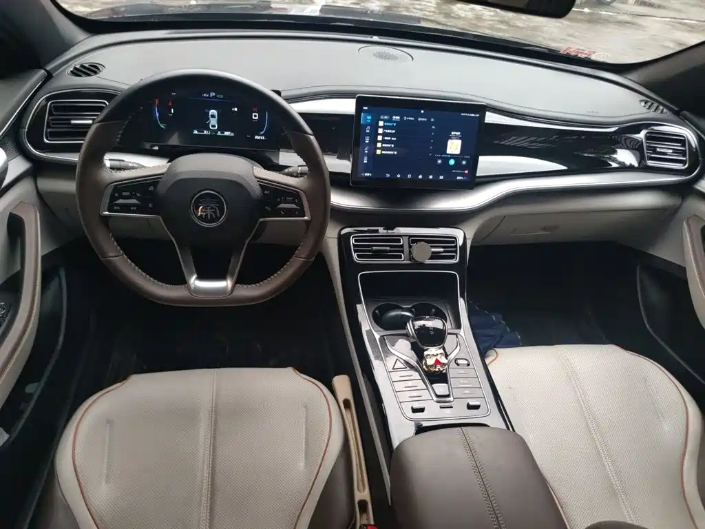 BYD Qin PLUS 2023 Champion Edition DM-i 120KM Leading Type фото 9