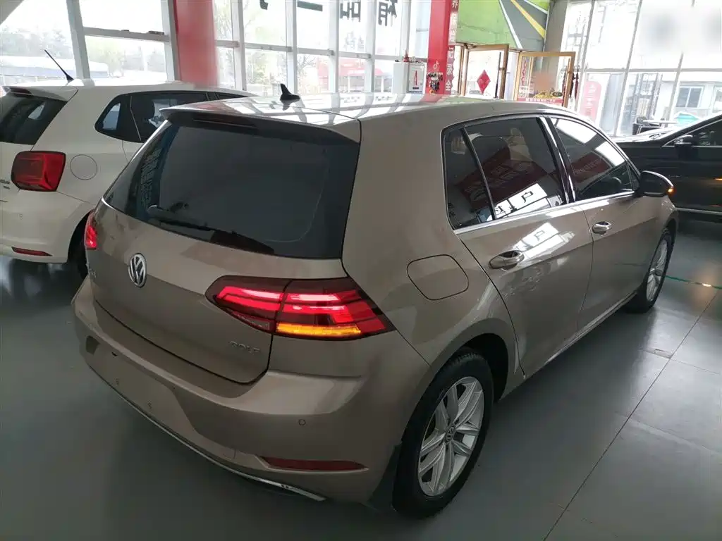 Volkswagen Golf 2019 1.6L Auto Comfort (China V) фото 7