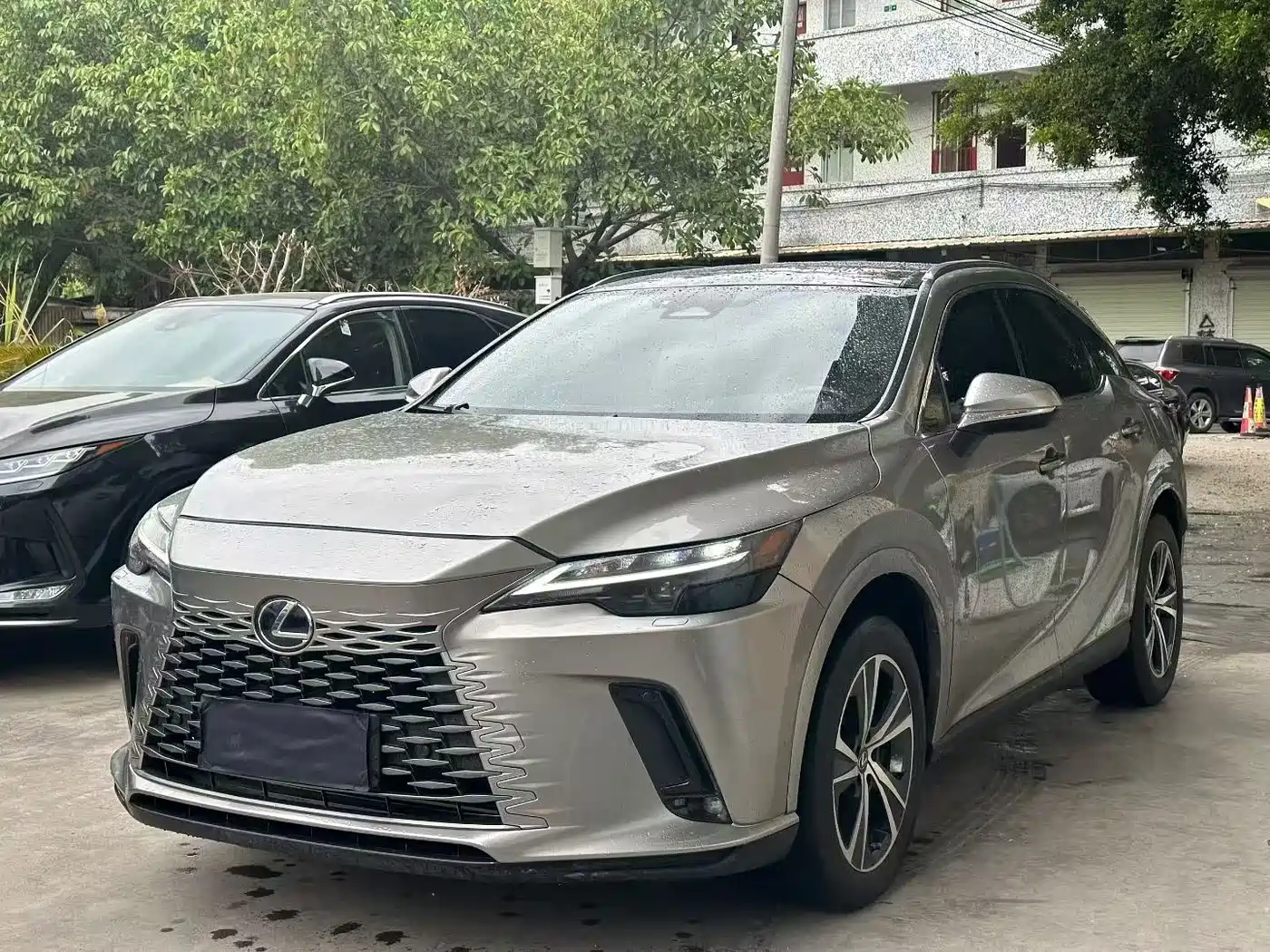 LEXUS RX