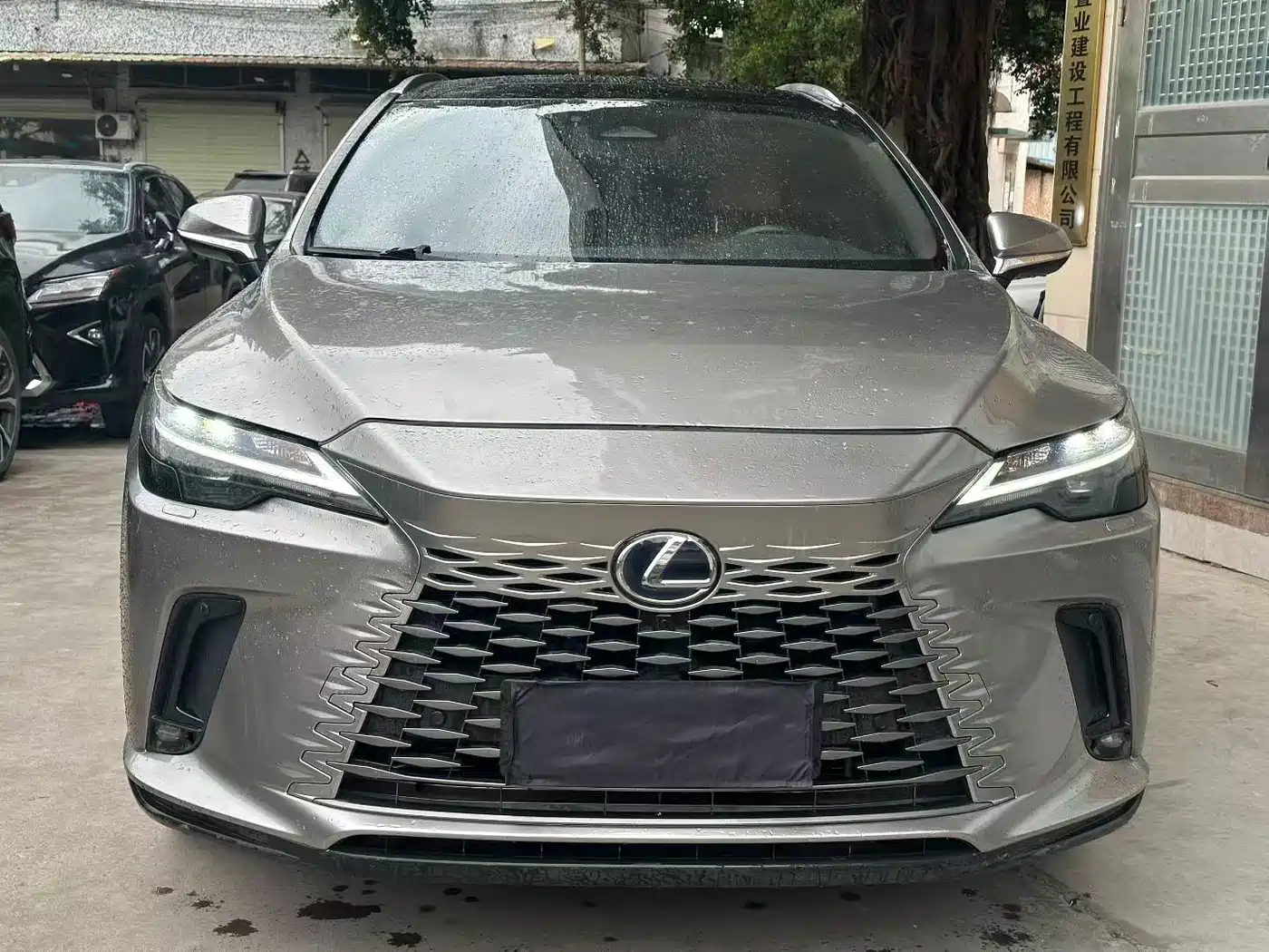LEXUS RX