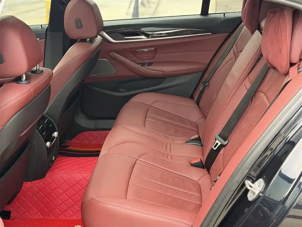 BMW 5 Series 2019 530Li Premium M Sport Package фото 16