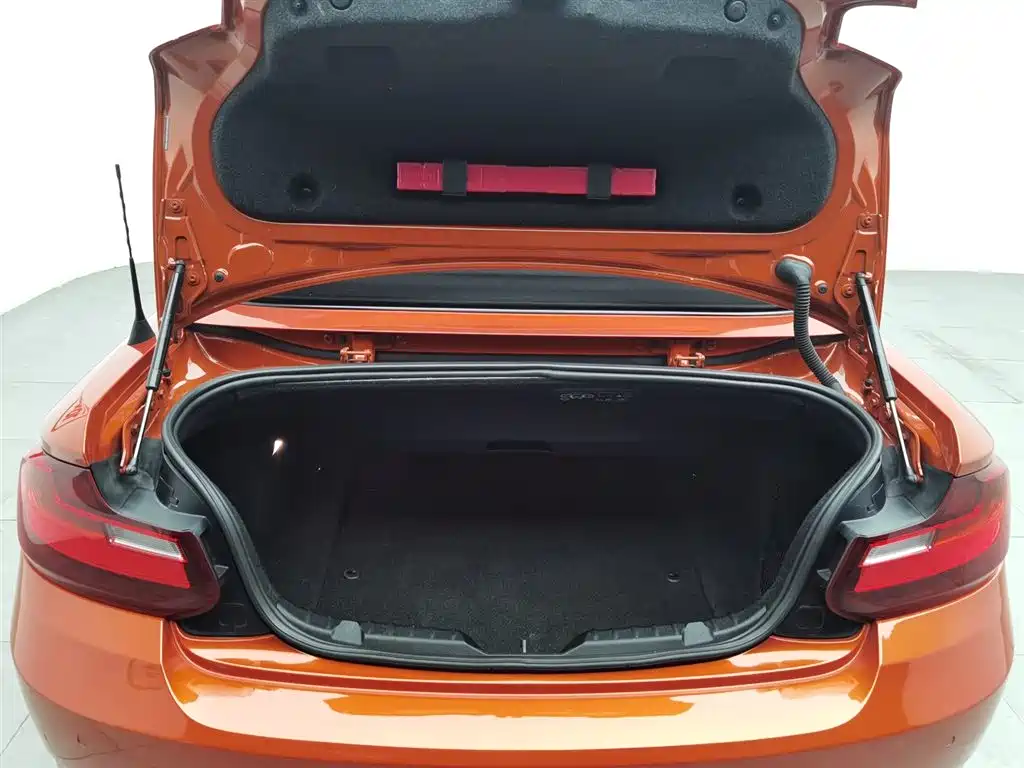 BMW 2 Series (Import) 2015 218i Convertible Coupe фото 16