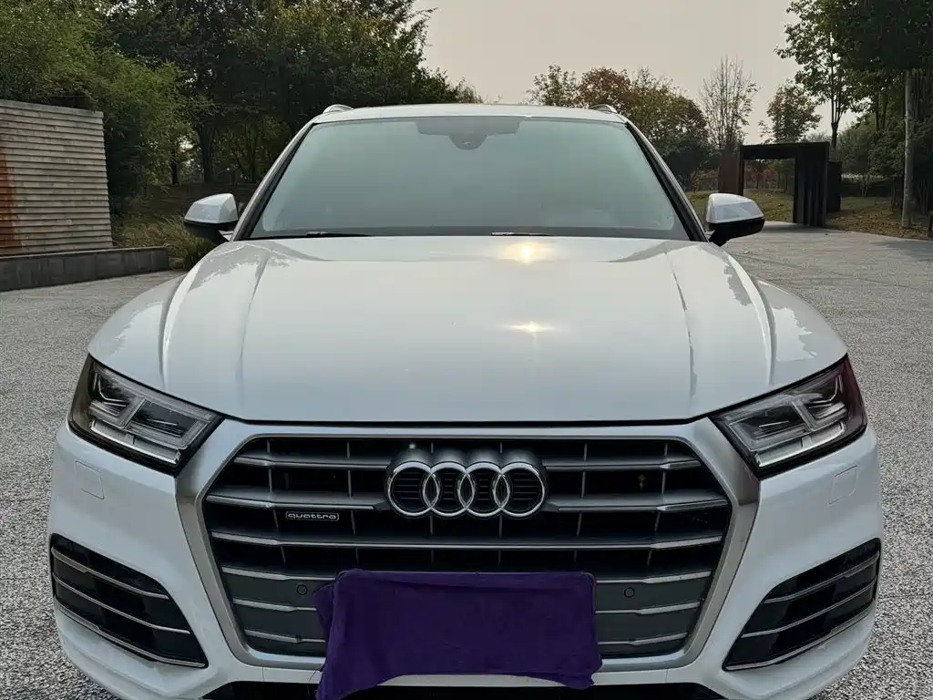 Audi Q5L 2018 40 TFSI Prestige Progressive (China V) фото 2