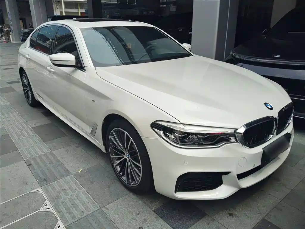 BMW 5 Series 2020 530Li Leading M Sport Package фото 4