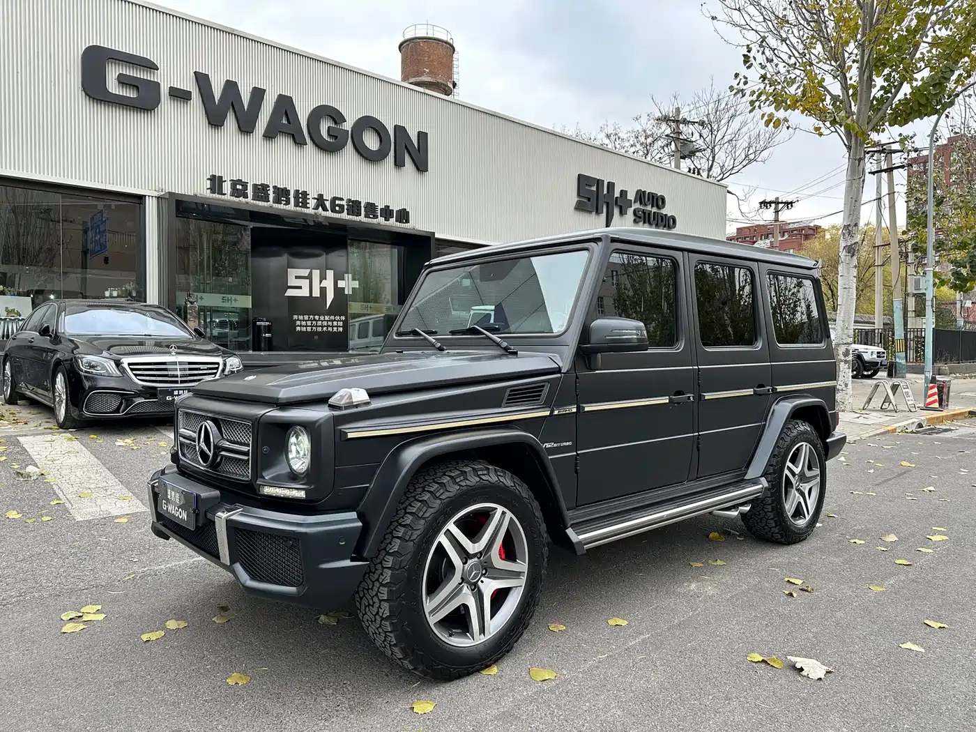 Mercedes-Benz G-Class AMG 2013 AMG G 65