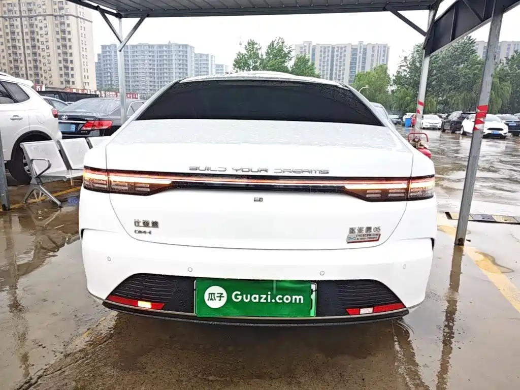 BYD Destroyer 05 2025 2024 Glory Edition DM-i 55KM Luxury