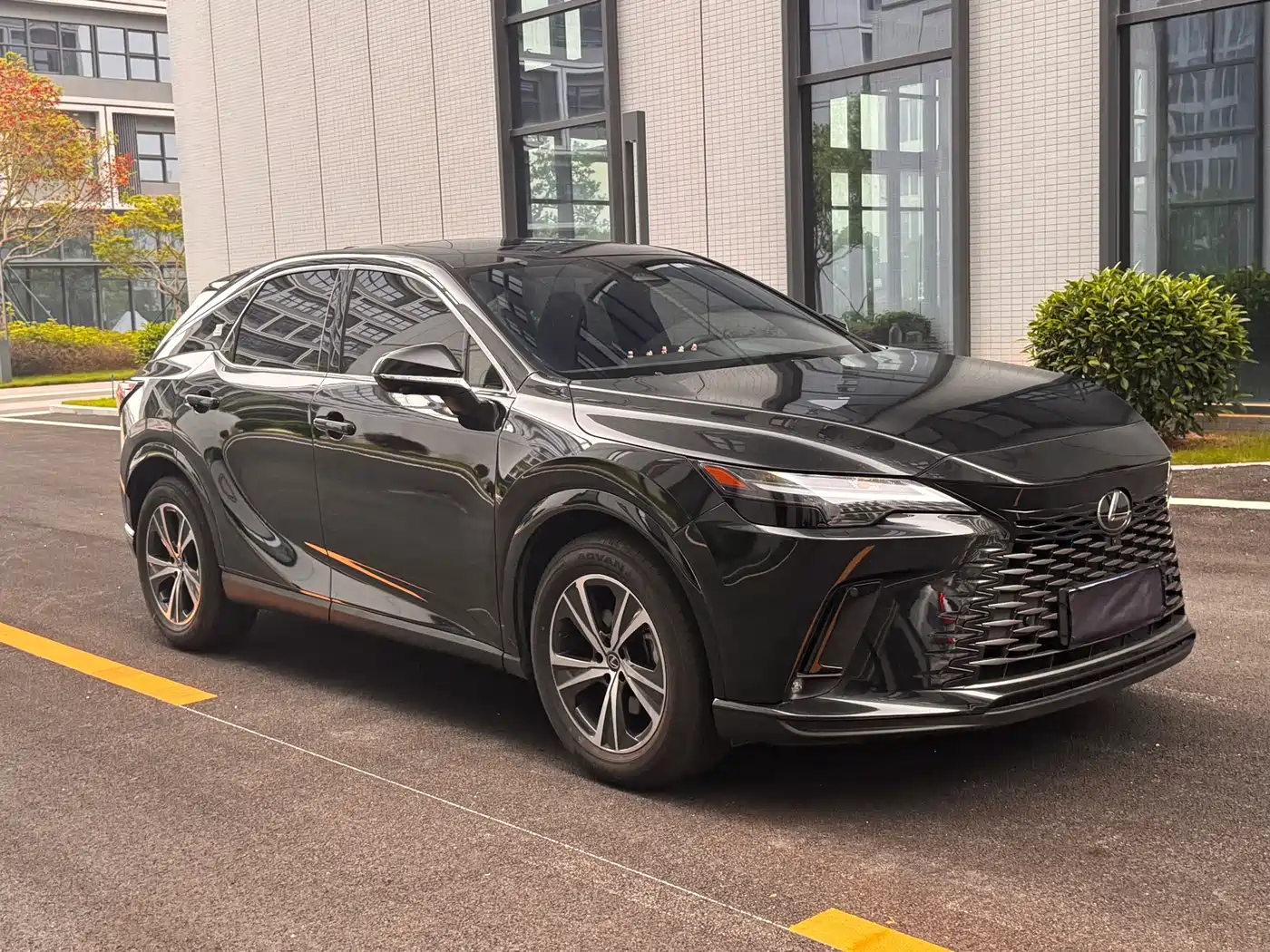 LEXUS RX