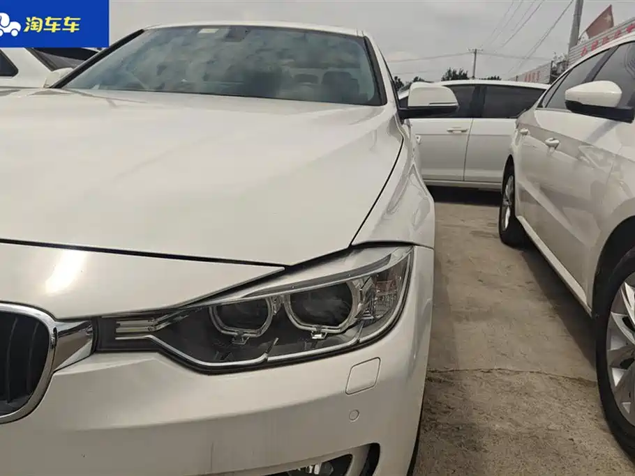 BMW 3 Series 2015 316Li Fashion фото 5