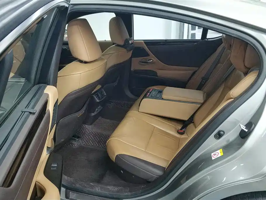 Lexus ES 2018 300h Executive Edition China V фото 11