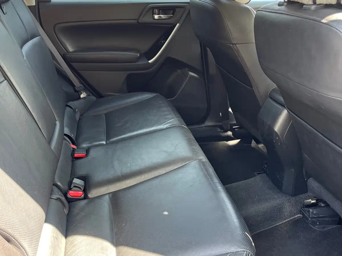 Subaru Forester 2018 2.0i Luxury Navigation Edition фото 8