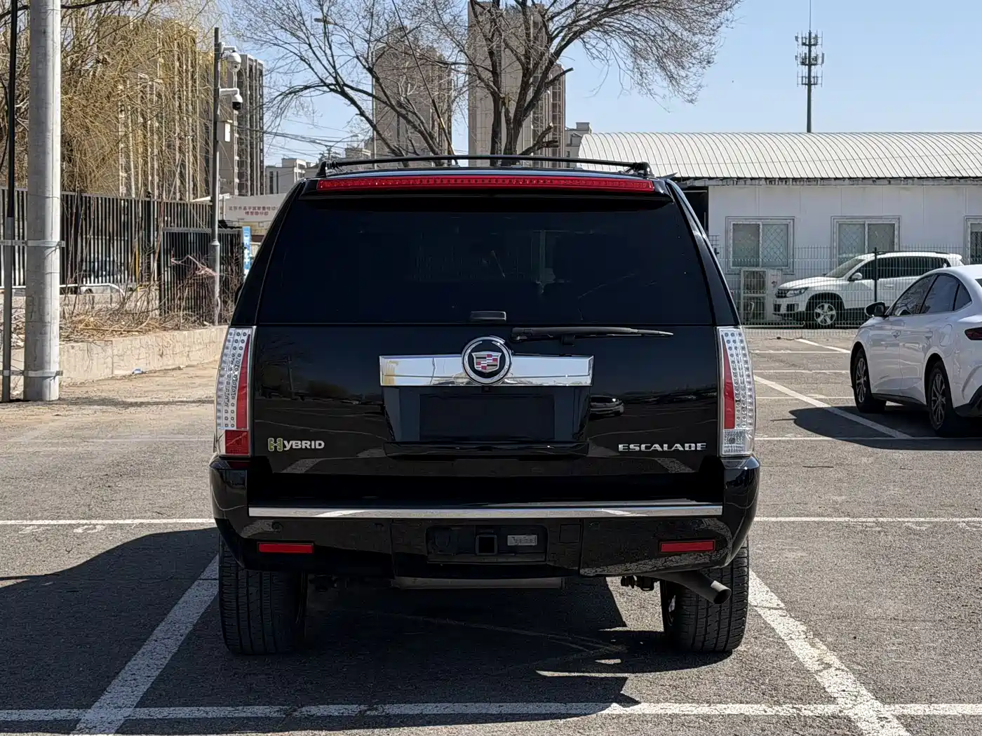 Cadillac Escalade 2010 6.0 Hybrid фото 5