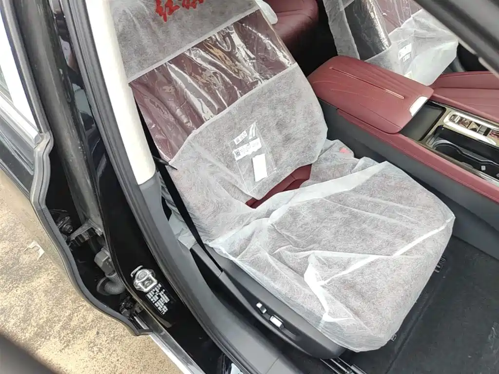 Hongqi H5 2025 2.0T Automatic Qixiang 500,000 Units Commemorative Edition фото 25