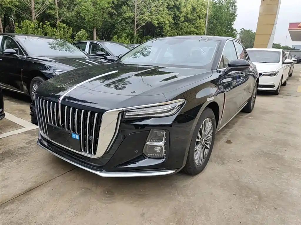 Hongqi H5 2025 2.0T Automatic Qixiang 500,000 Units Commemorative Edition фото 2