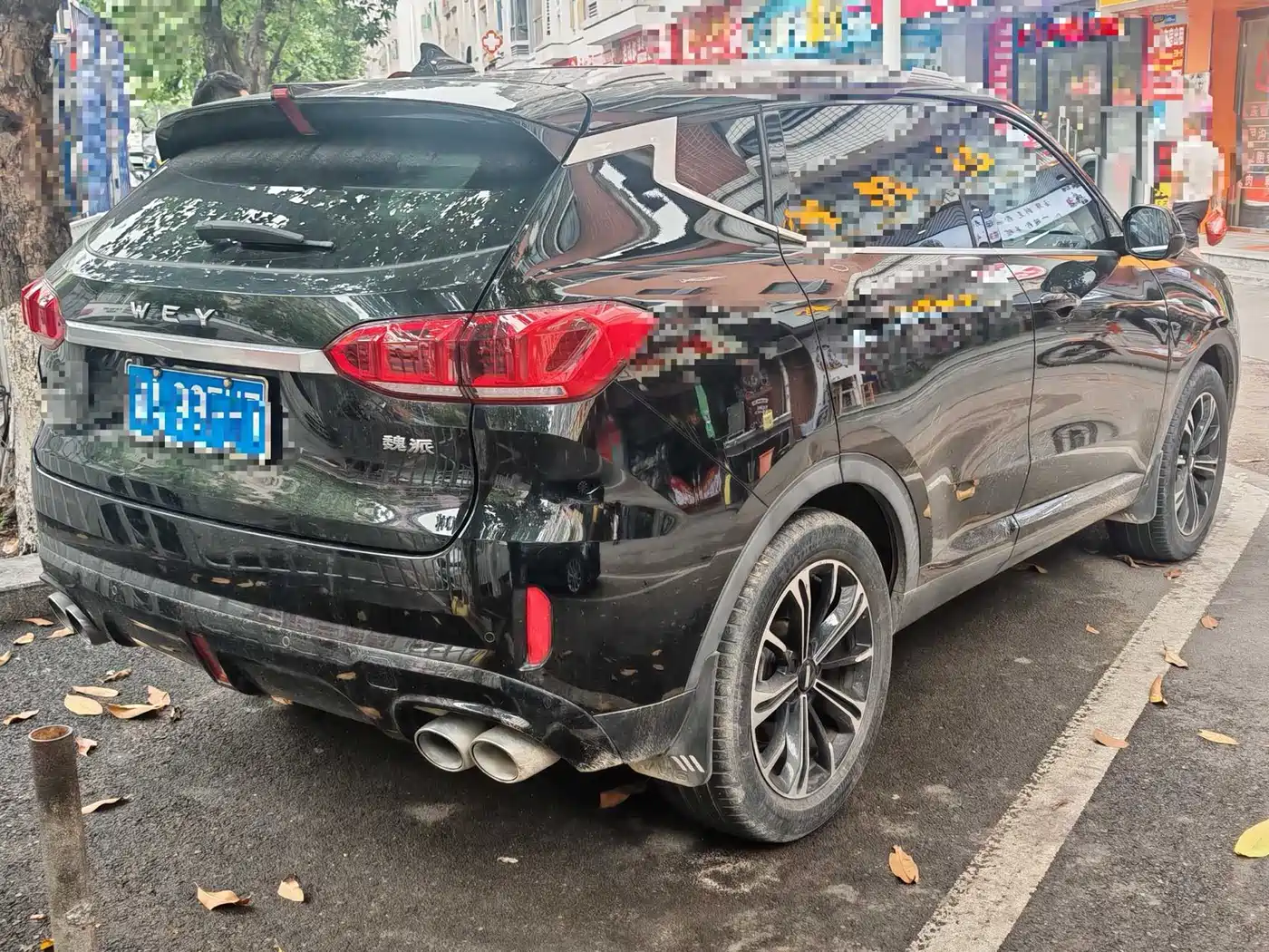 WEI PAI WEI BRAND VV6