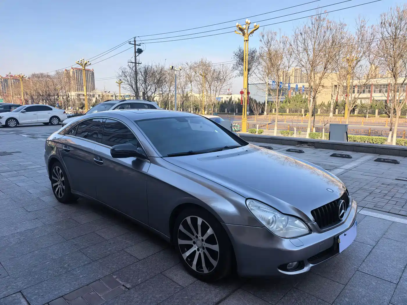 Mercedes-Benz CLS 2009 CLS 300 фото 3