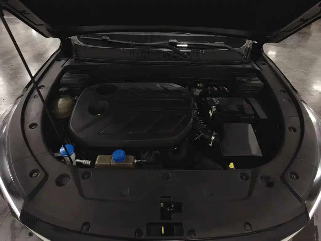 Changan Oshan X5 PLUS 2023 2023 1.5T DCT Pioneer