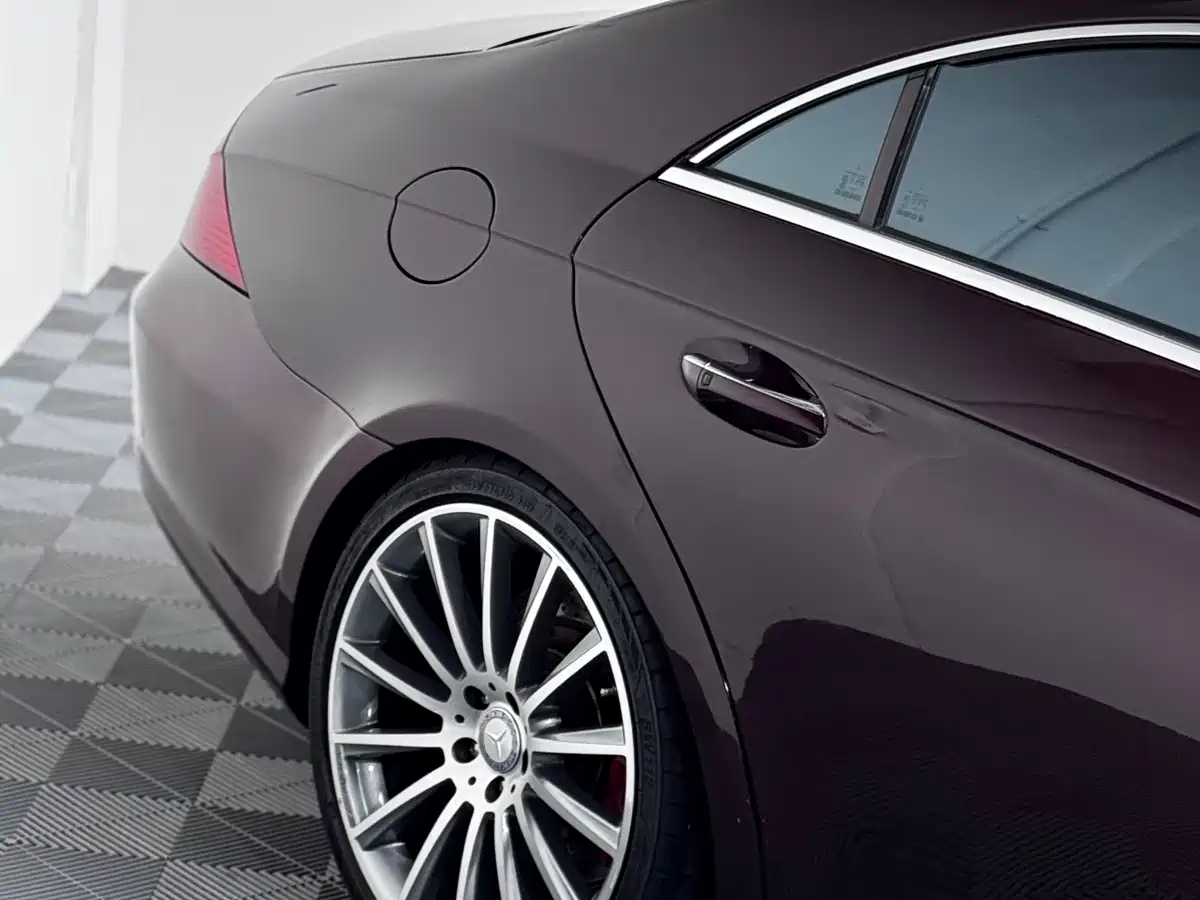 Mercedes-Benz CLS 2007 CLS 500 фото 7