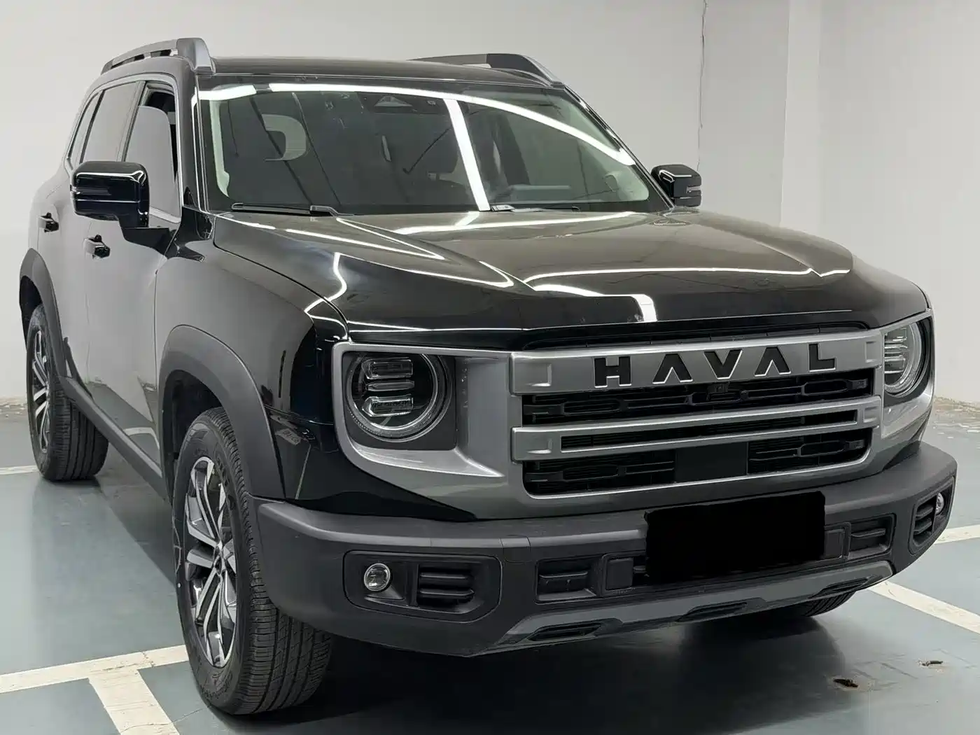 HAVAL BIG DOG