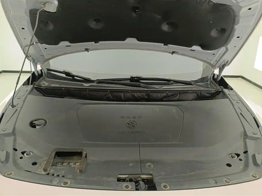 Venucia DaV DD-i 2024 2023 110km iE Edition
